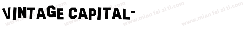 Vintage Capital字体转换